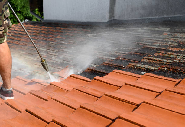 Best Power Washing Near Me  in Red Bank, TN